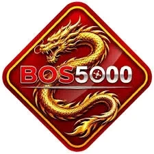 Cara Menggunakan Aplikasi bos5000 untuk Pemula